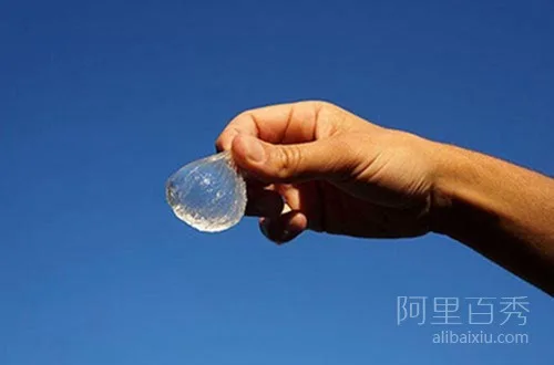 会充电的树,既可以充电又可以照明,实用又美观 - 黑白体育